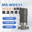 4G Cat.1全网通振温传感器MS-WS931-2 4G Cat.1全网通振温传感器MS-WS931-2
